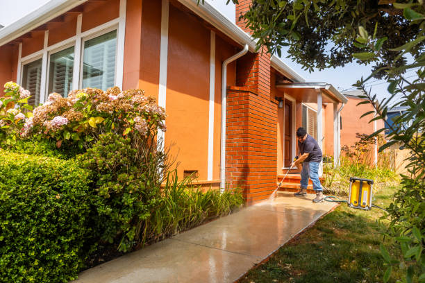 Best Exterior Home Cleaning  in North Springfield, VA