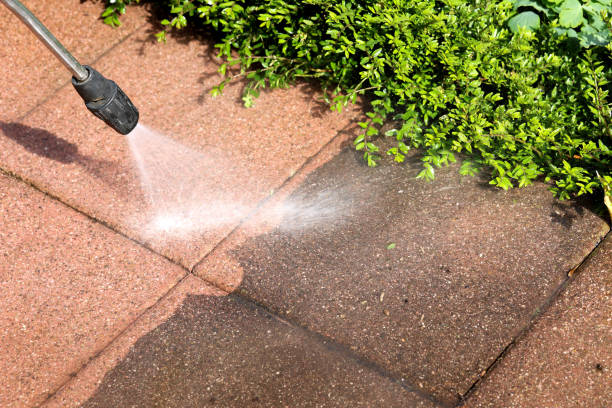 Best Pressure Washing Near Me  in North Springfield, VA