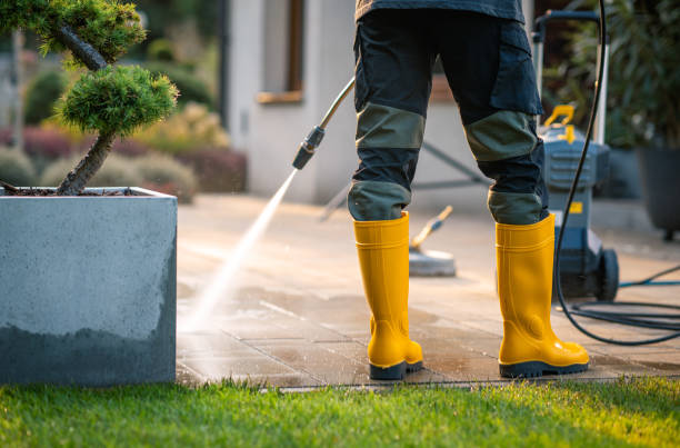 Deck Cleaning Services in North Springfield, VA